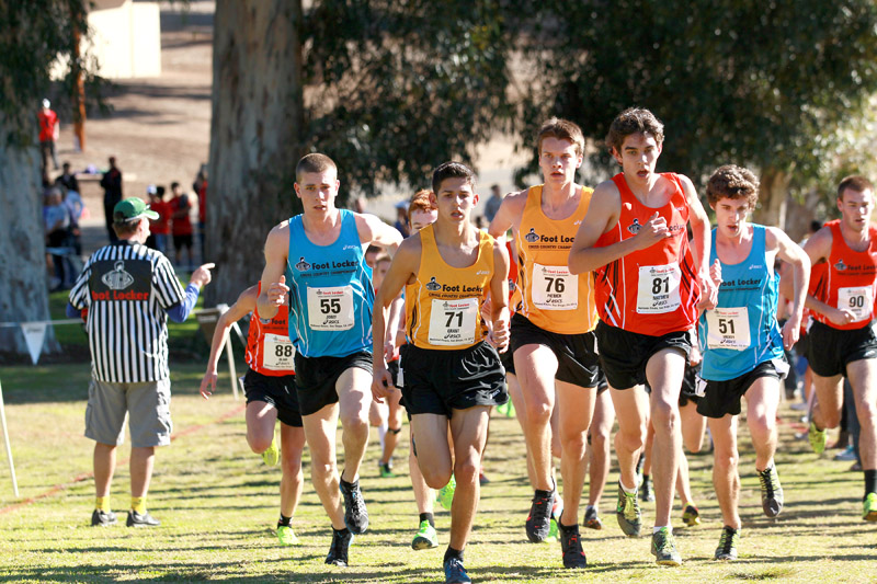 Holt-Fisher-Perrier-Maton-FLxcFinal13